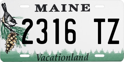 ME license plate 2316TZ