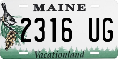 ME license plate 2316UG