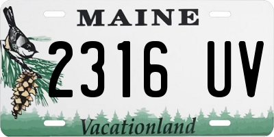 ME license plate 2316UV