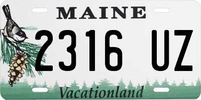 ME license plate 2316UZ