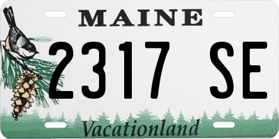 ME license plate 2317SE