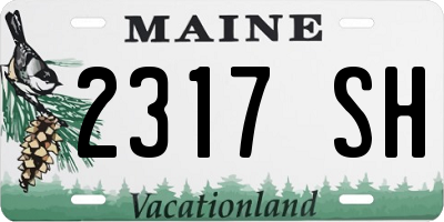 ME license plate 2317SH