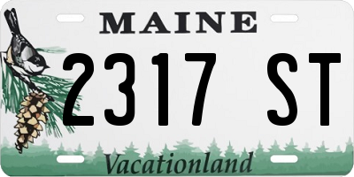 ME license plate 2317ST