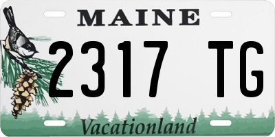 ME license plate 2317TG