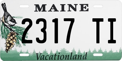 ME license plate 2317TI