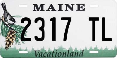 ME license plate 2317TL