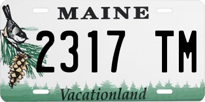 ME license plate 2317TM