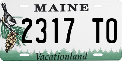 ME license plate 2317TO