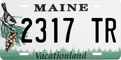 ME license plate 2317TR