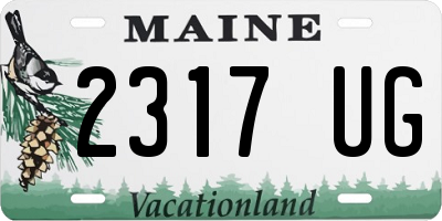 ME license plate 2317UG