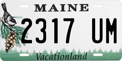 ME license plate 2317UM