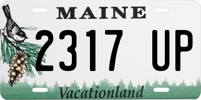 ME license plate 2317UP