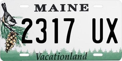 ME license plate 2317UX