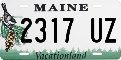 ME license plate 2317UZ