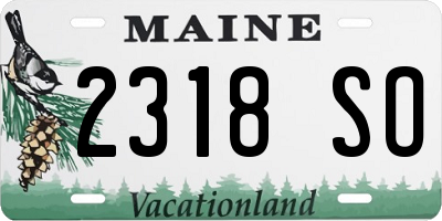 ME license plate 2318SO