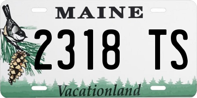 ME license plate 2318TS
