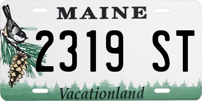 ME license plate 2319ST