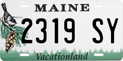 ME license plate 2319SY