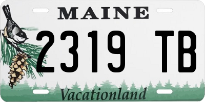 ME license plate 2319TB