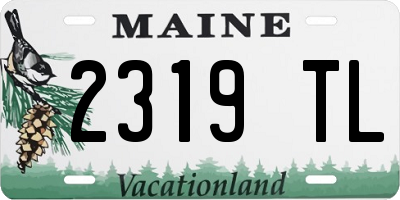 ME license plate 2319TL