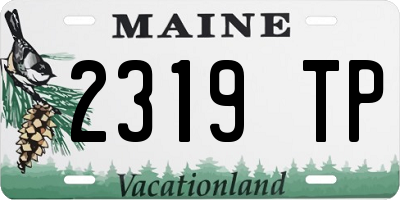 ME license plate 2319TP