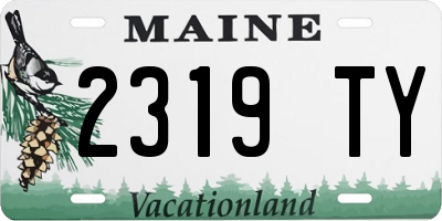 ME license plate 2319TY