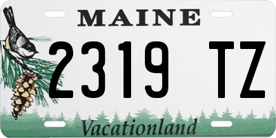 ME license plate 2319TZ