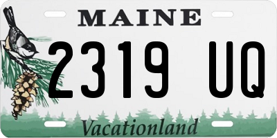 ME license plate 2319UQ