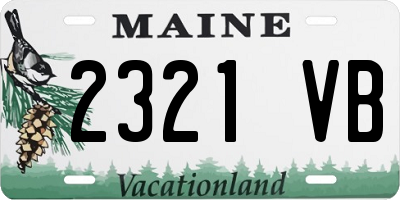 ME license plate 2321VB