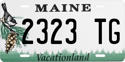 ME license plate 2323TG