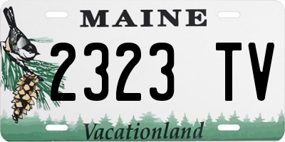ME license plate 2323TV