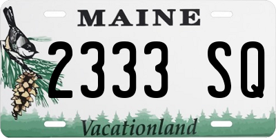ME license plate 2333SQ