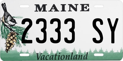 ME license plate 2333SY
