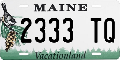 ME license plate 2333TQ