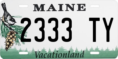 ME license plate 2333TY