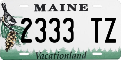 ME license plate 2333TZ
