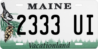 ME license plate 2333UI