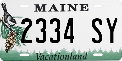 ME license plate 2334SY