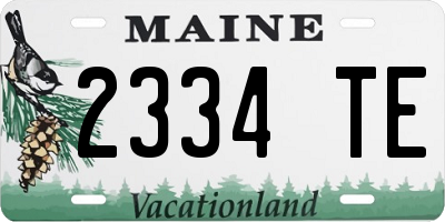 ME license plate 2334TE