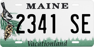 ME license plate 2341SE