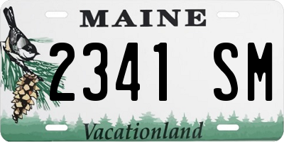 ME license plate 2341SM