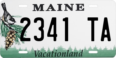 ME license plate 2341TA