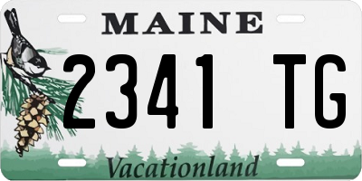 ME license plate 2341TG
