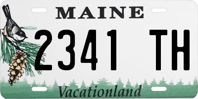 ME license plate 2341TH