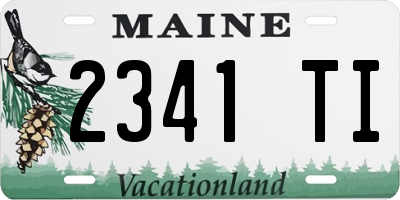 ME license plate 2341TI