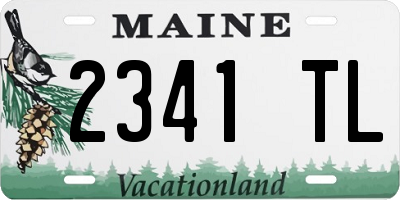 ME license plate 2341TL