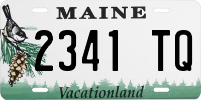 ME license plate 2341TQ