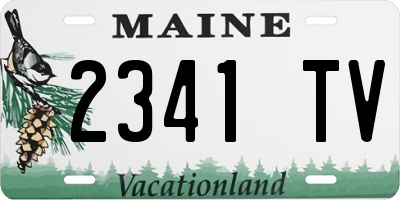 ME license plate 2341TV