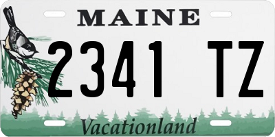ME license plate 2341TZ