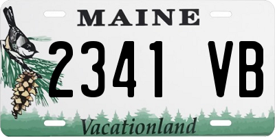 ME license plate 2341VB